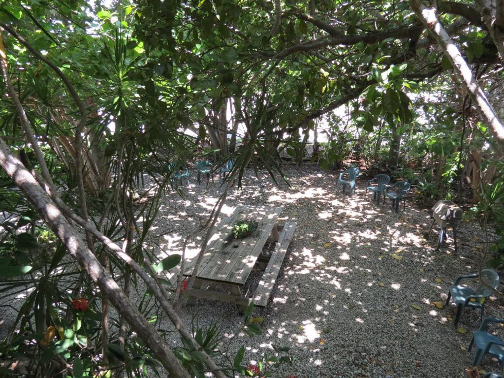 Motel Ed & Ellen'S Lodgings Key Largo Zimmer foto