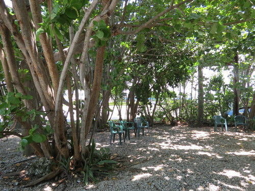 Motel Ed & Ellen'S Lodgings Key Largo Exterior foto