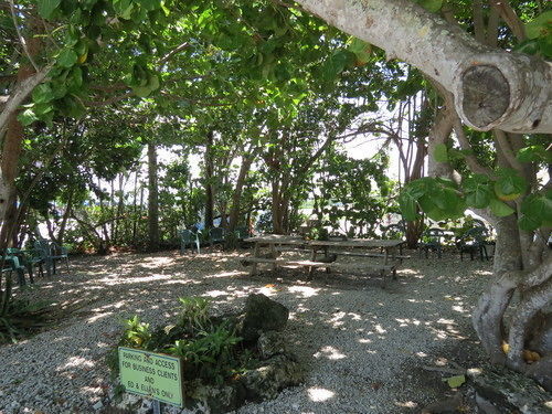 Motel Ed & Ellen'S Lodgings Key Largo Exterior foto