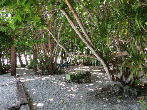 Motel Ed & Ellen'S Lodgings Key Largo Exterior foto