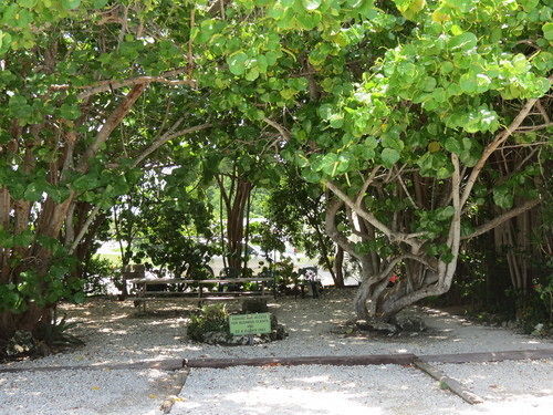 Motel Ed & Ellen'S Lodgings Key Largo Exterior foto